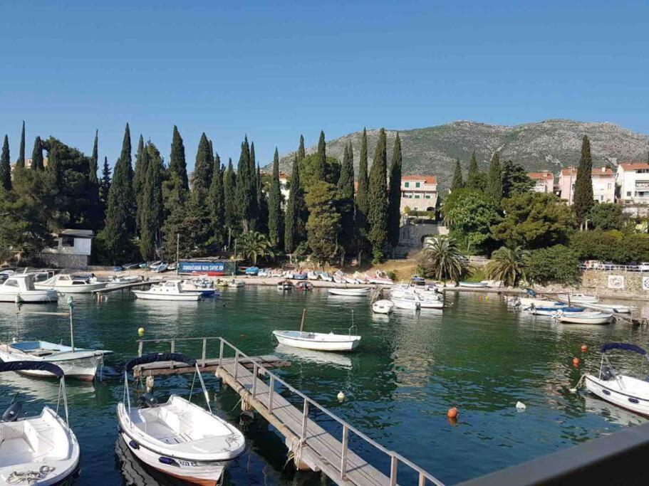 Lovely Split Level Apartment With Sea View, Pool, Free Parking And Wifi ซัฟทัท ภายนอก รูปภาพ